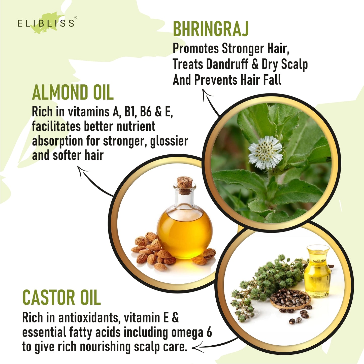 Bhringraj Ayurvedic Hair Oil , Nourish and Strengthen Your Hair Naturally and Healthier Hair